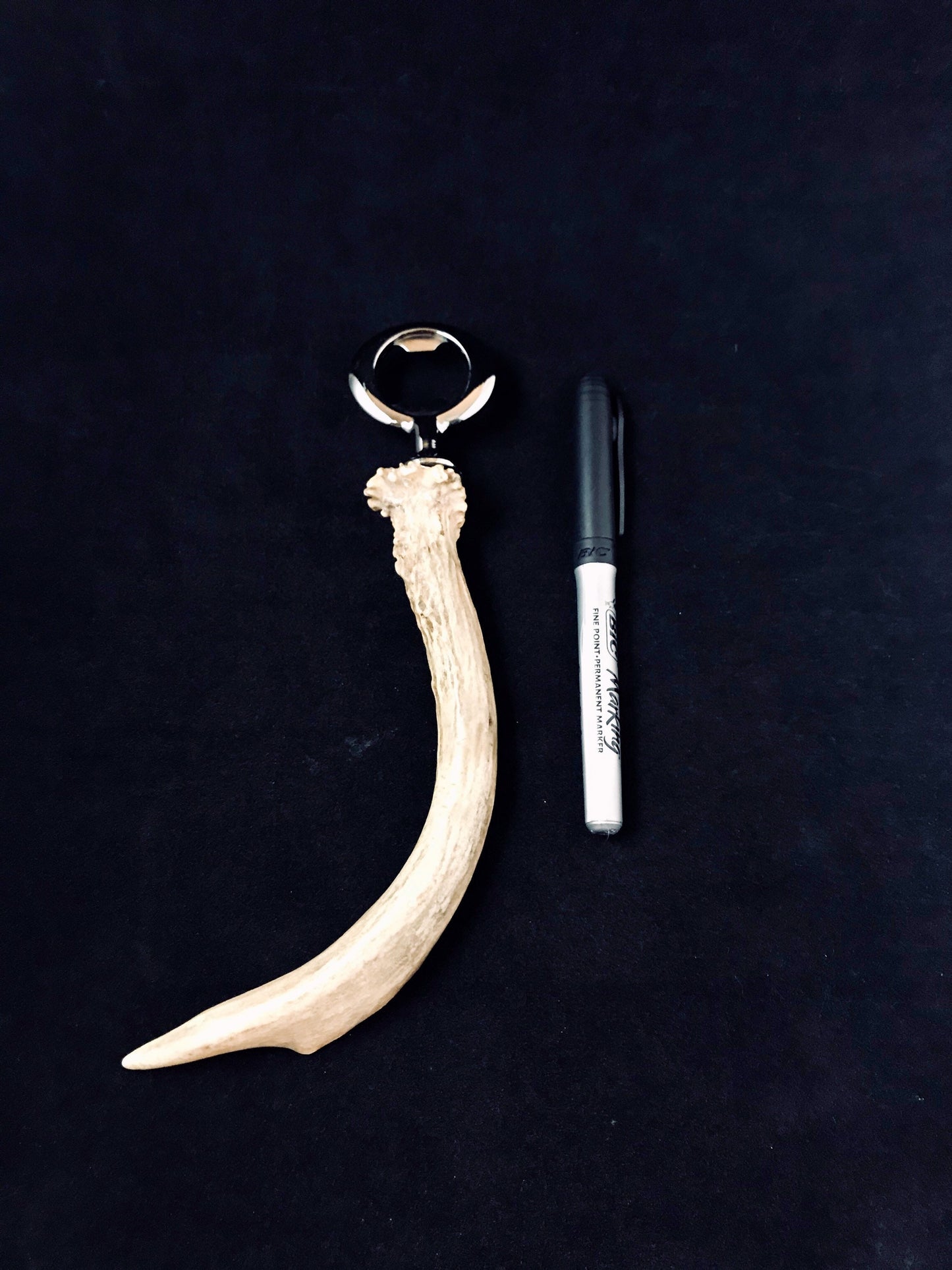 Custom Bottle opener made from Authentic Whitetail Antler