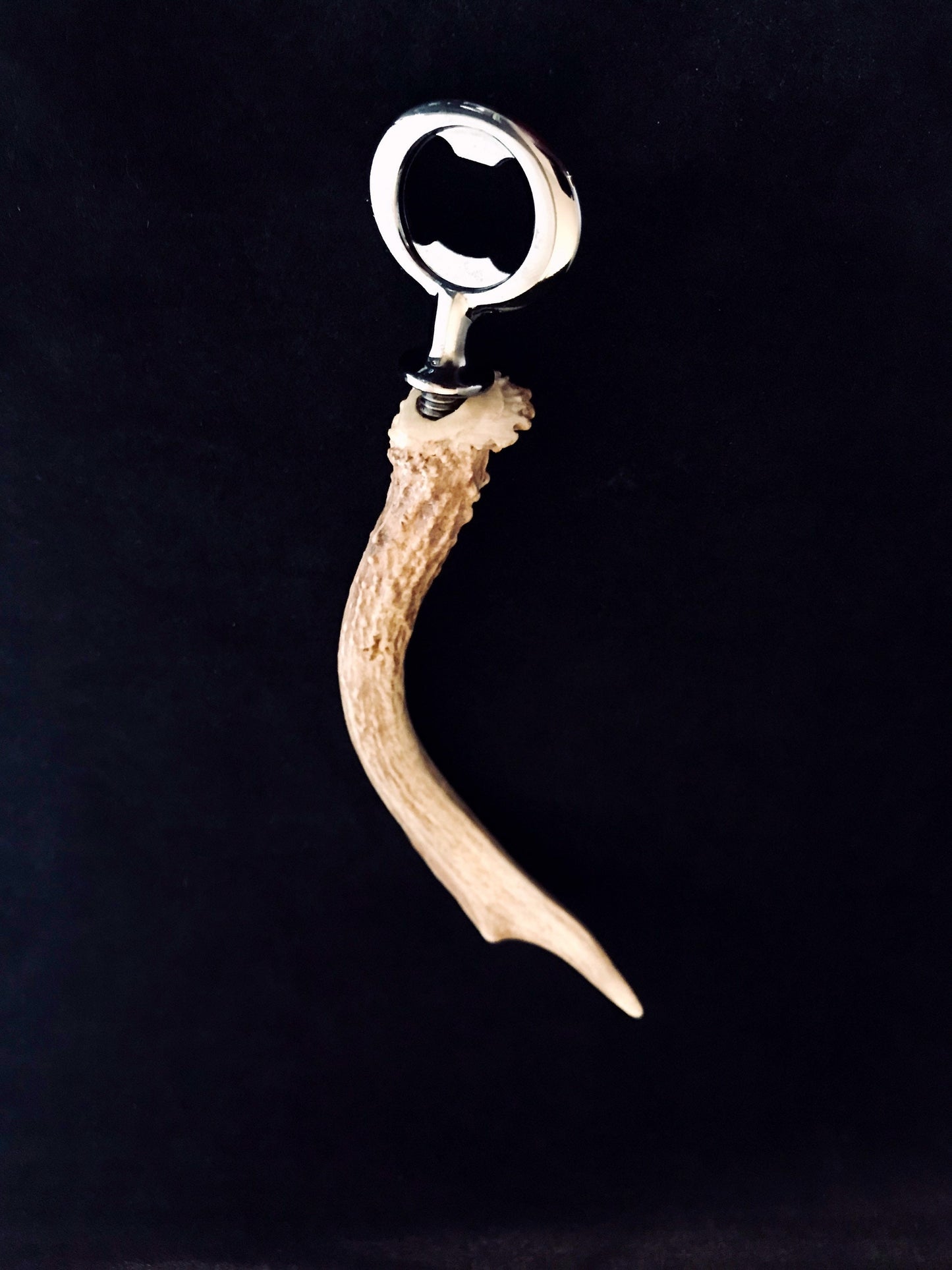 Custom Bottle opener made from Authentic Whitetail Antler